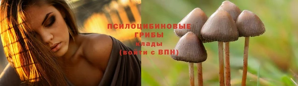 дурь Елизово