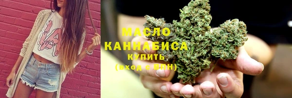 крисы Ельня