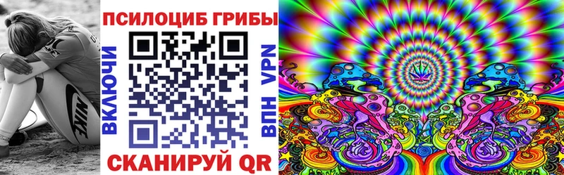 Псилоцибиновые грибы Cubensis Волосово